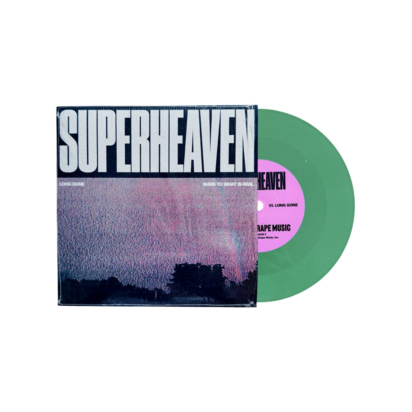 Long Gone / Numb To What Is 7" Vinyl